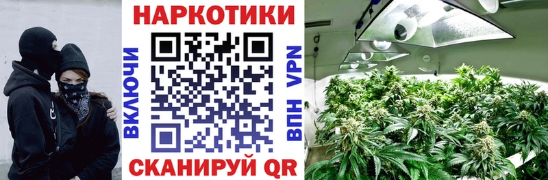 Купить наркотик Порхов Галлюциногенные грибы  Кокаин  А ПВП  Меф  NBOMe  МАРИХУАНА  Гашиш 