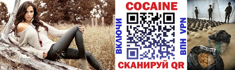 OMG сайт  Порхов  Кокаин Columbia  цены наркотик 