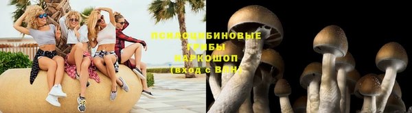 кокс Михайлов