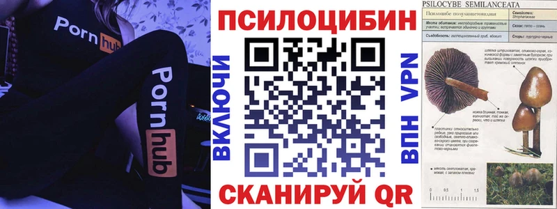 Галлюциногенные грибы MAGIC MUSHROOMS  цены   Порхов 